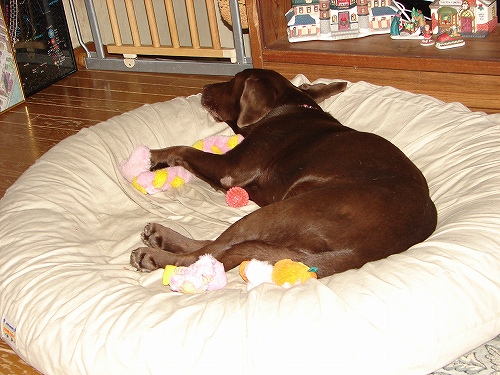 DSC02704.jpg