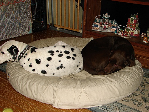 DSC02707.jpg