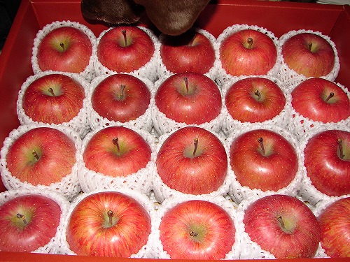 DSC02714.jpg