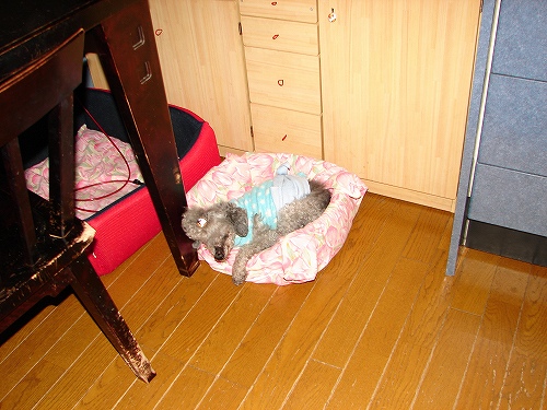 DSC02721.jpg