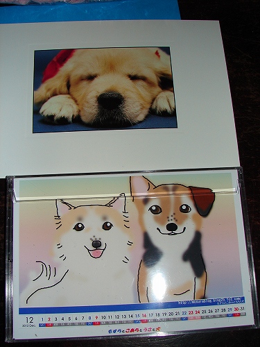 DSC02755.jpg