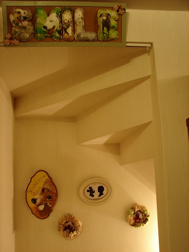 DSC02778.jpg