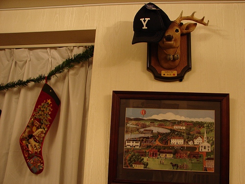 DSC02779.jpg
