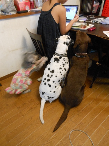 DSCN1130.jpg