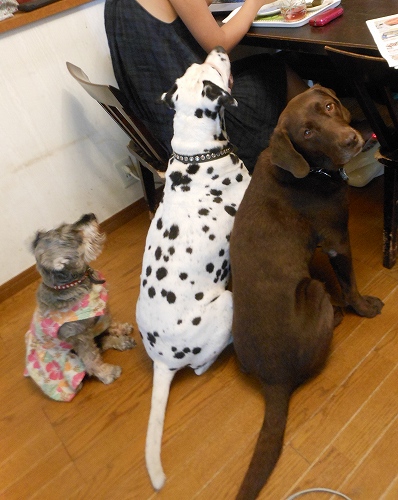 DSCN1137.jpg