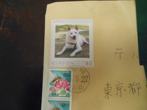 DSCN1246.jpg