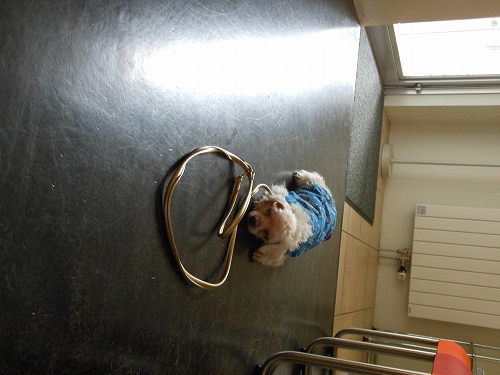 DSCN1323.jpg
