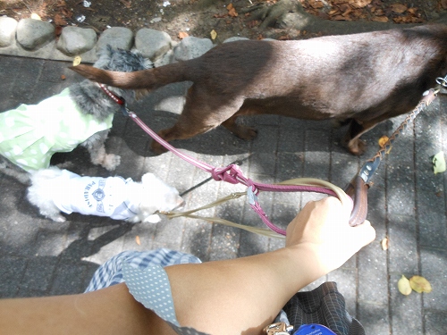 DSCN1372.jpg