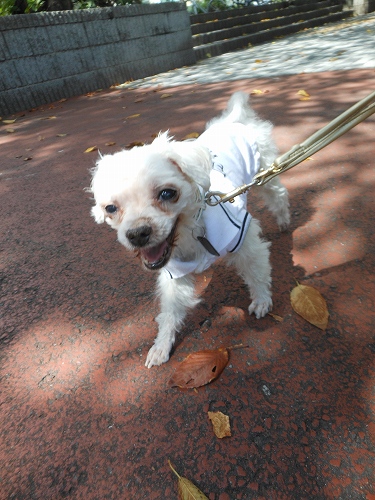 DSCN1376.jpg