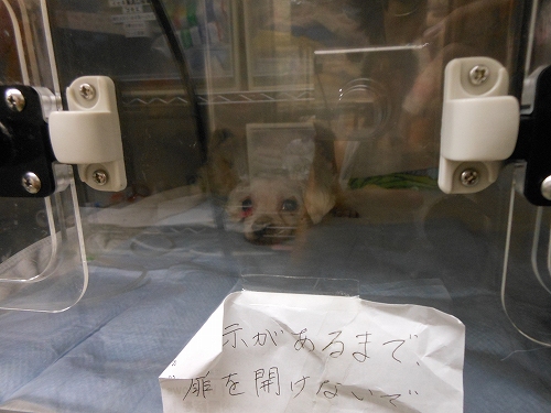 DSCN1439.jpg