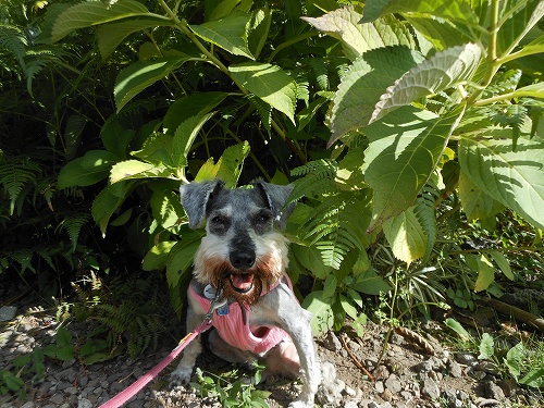 DSCN1555.jpg