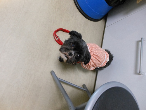 DSCN1628.jpg
