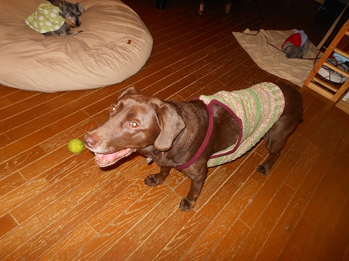 DSCN1667.jpg