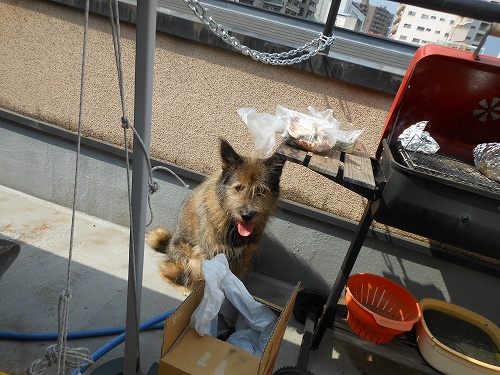 DSCN1805.jpg