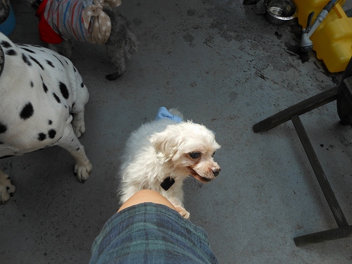 DSCN1816.jpg