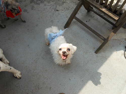 DSCN1818.jpg