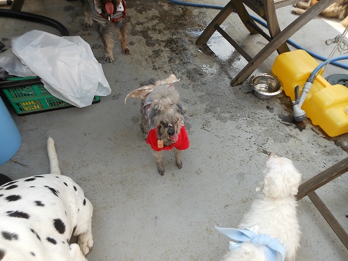 DSCN1819.jpg