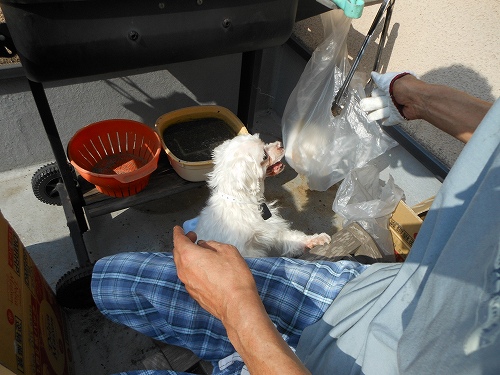 DSCN1823.jpg