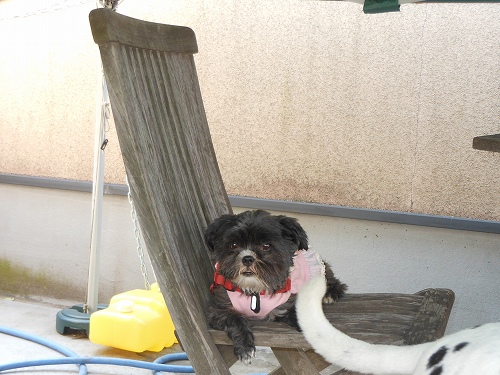 DSCN1825.jpg
