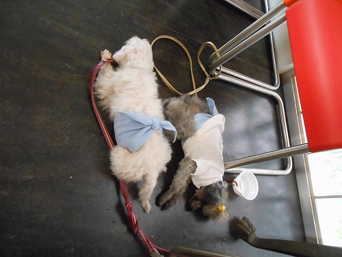 DSCN2055.jpg