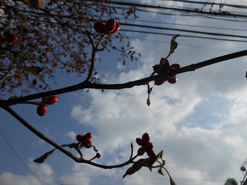 DSCN2056.jpg