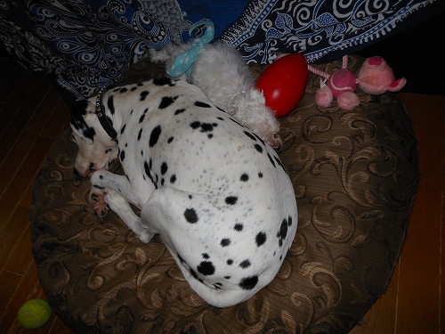 DSCN2067.jpg