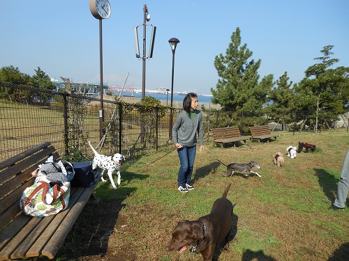 DSCN2068.jpg