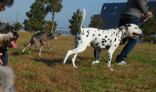 DSCN2069.jpg