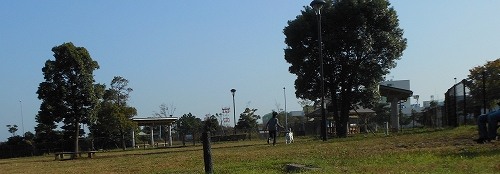 DSCN2071.jpg