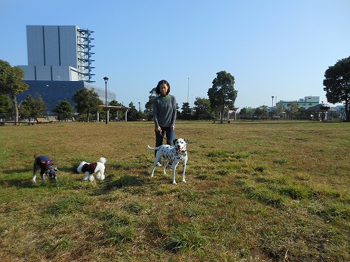 DSCN2073.jpg