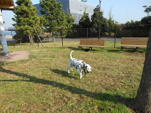 DSCN2080.jpg