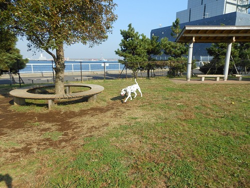 DSCN2085.jpg