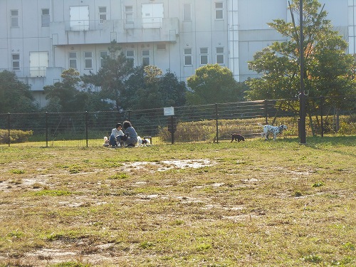 DSCN2091.jpg