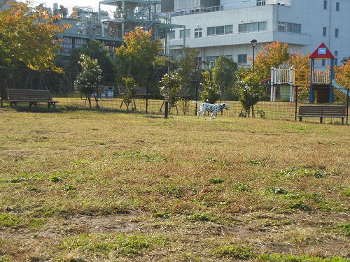 DSCN2092.jpg