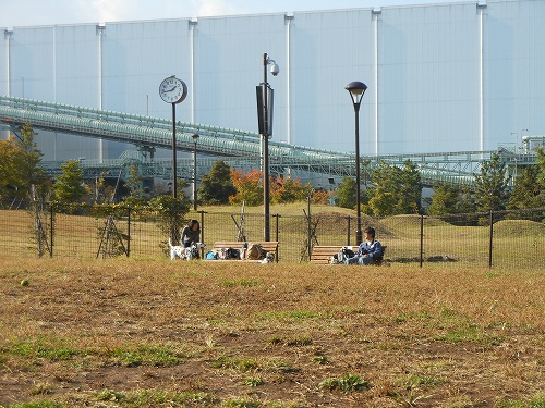 DSCN2093.jpg