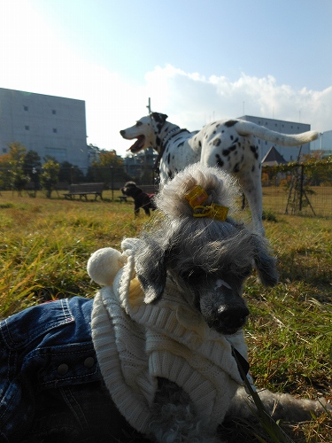 DSCN2100.jpg