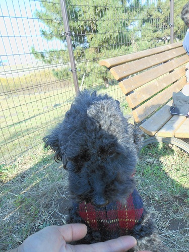 DSCN2114.jpg