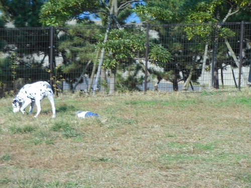 DSCN2125.jpg