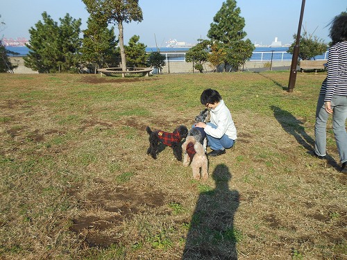 DSCN2134.jpg
