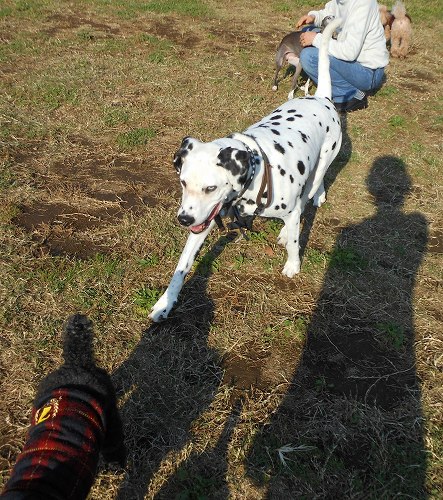 DSCN2136.jpg