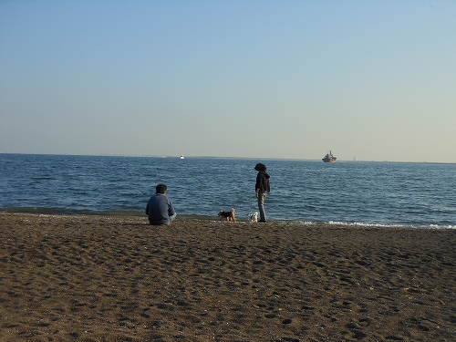 DSCN2138.jpg