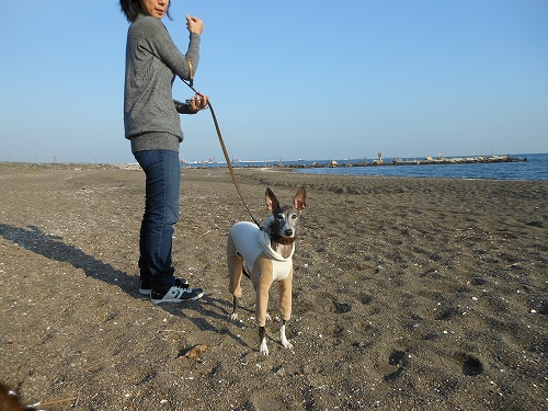 DSCN2144.jpg