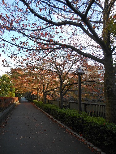 DSCN2184.jpg