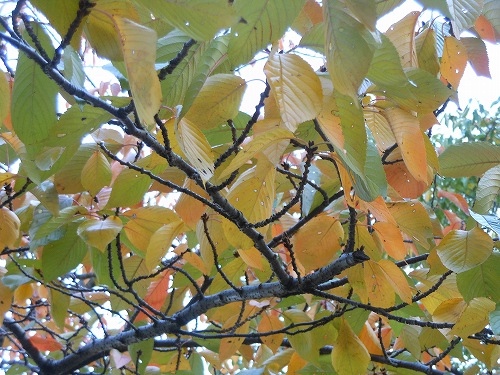 DSCN2191.jpg