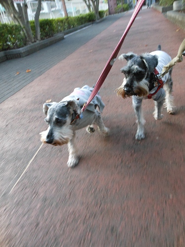 DSCN2200.jpg