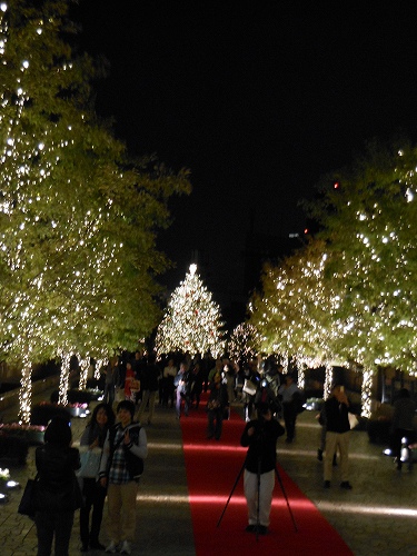 DSCN2214.jpg