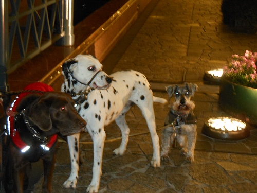 DSCN2231.jpg
