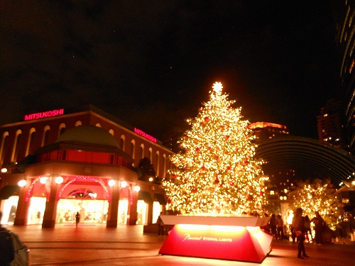 DSCN2233.jpg