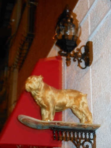 DSCN2236.jpg