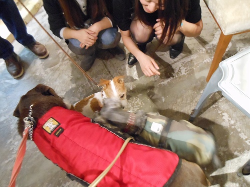 DSCN2242.jpg